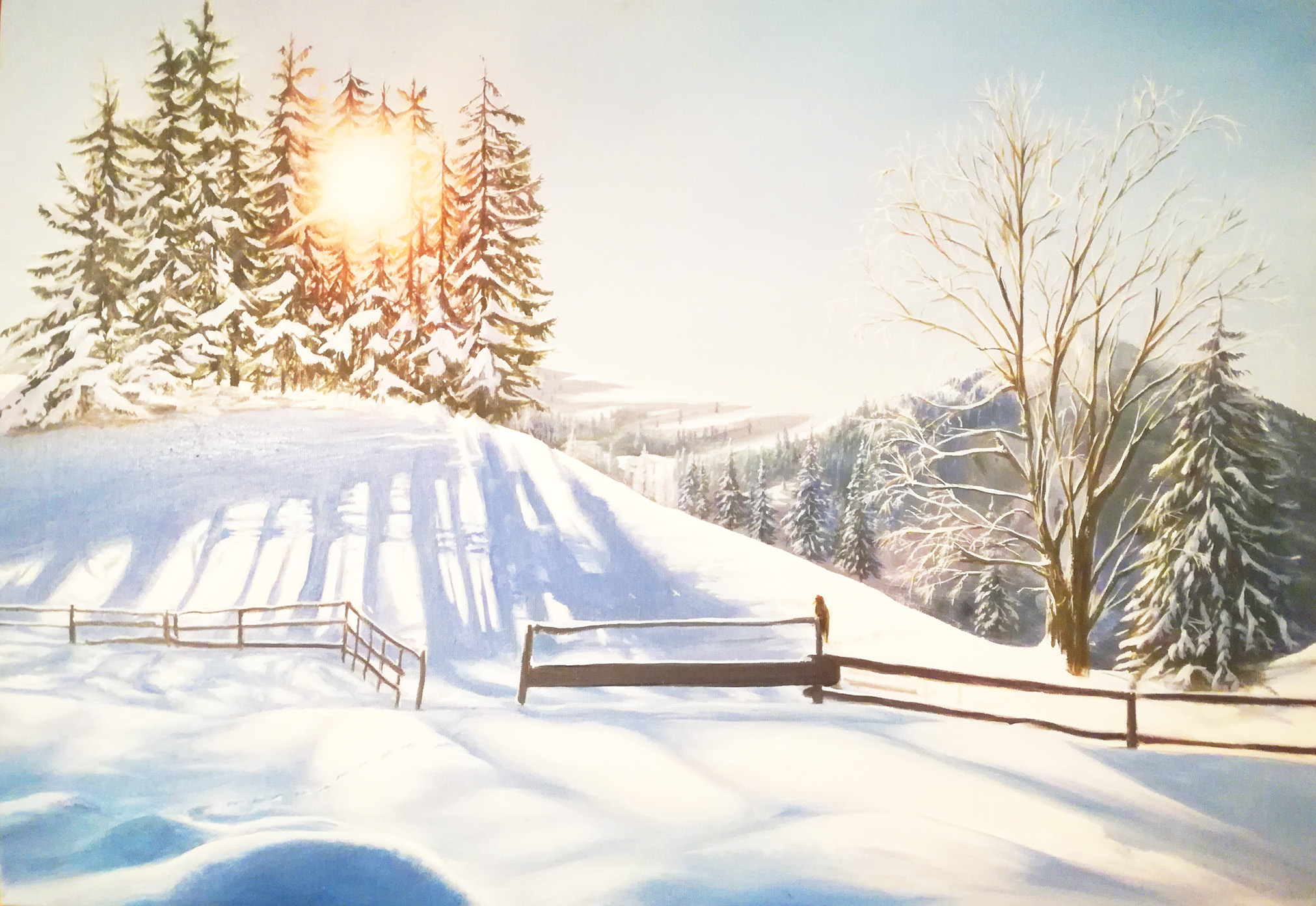 Neige au matin